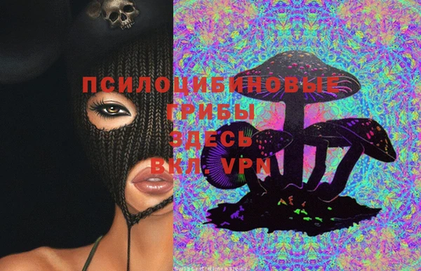 метадон Алексин