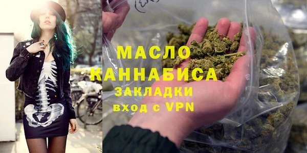 хмурый Ельня